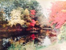 e34dfed1-59ed-419b-a261-4cbc00427802